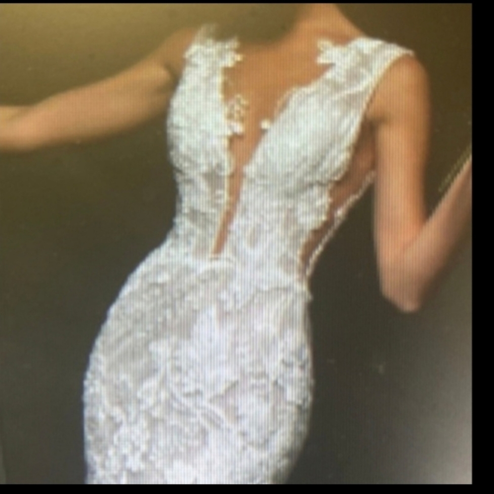 Wedding Gown And Veil